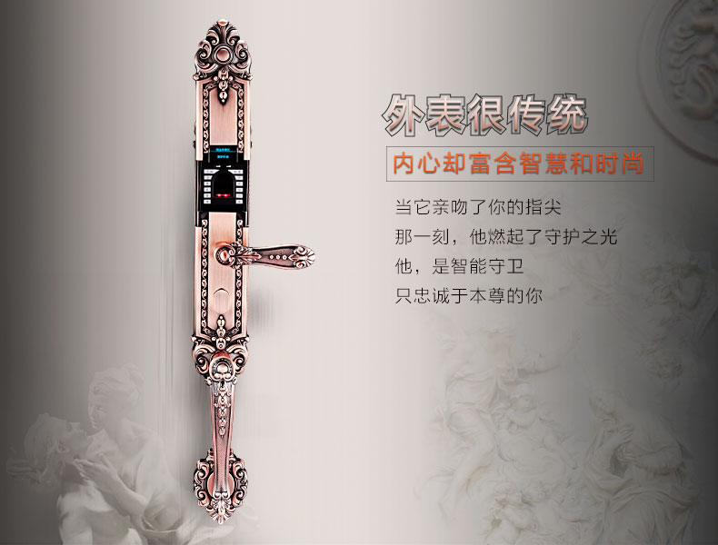 指紋密碼鎖|家用智能鎖|電子門(mén)鎖|指紋防盜鎖|電子密碼鎖|家用指紋鎖|F6160